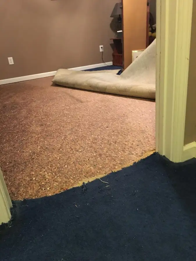 Carpet pad removal revealing water damage during Drying & Dehumidification in Bellview