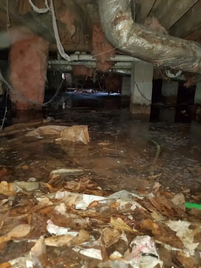 Crawl space flood assessment for Commercial Water Damage Restoration in Bellview