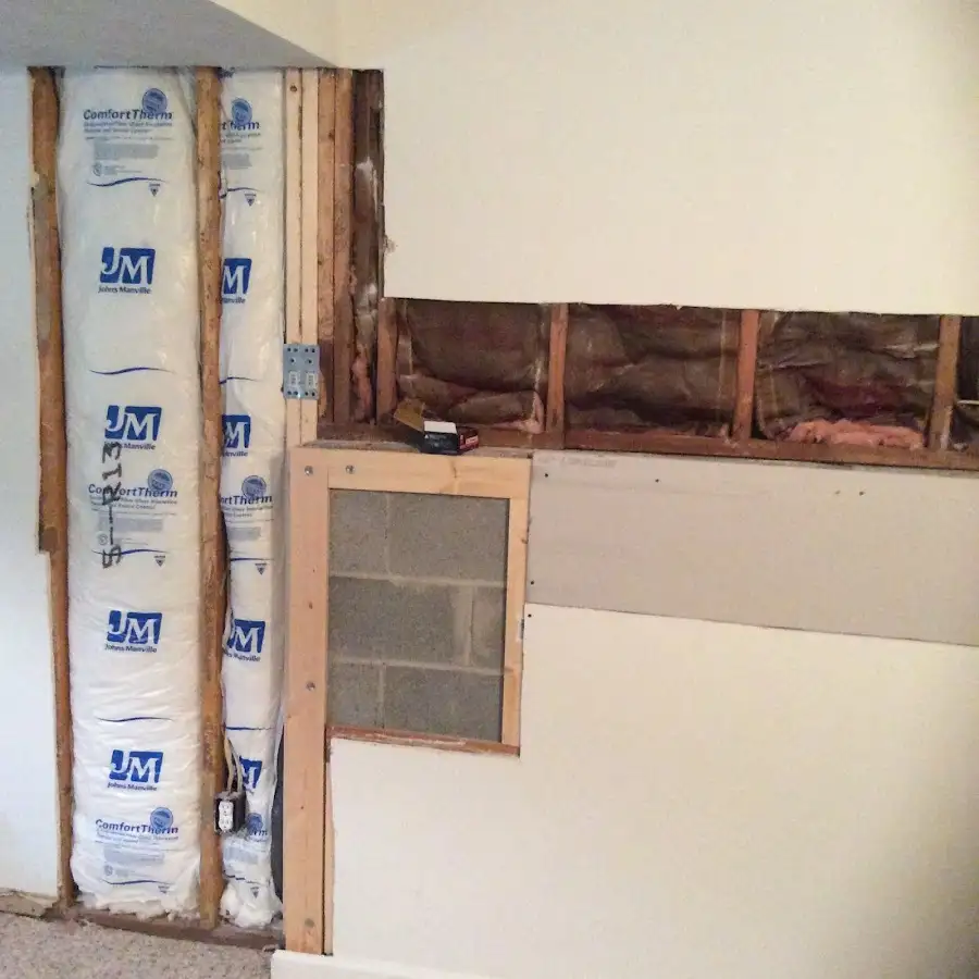 Wall insulation replacement during Odor Removal & Deodorization in Bellview